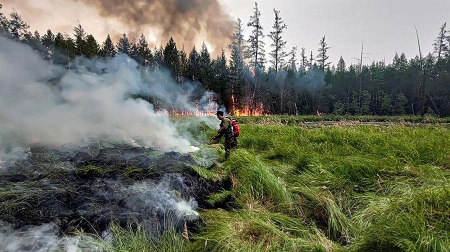 Como os incêndios florestais afetam os minerais do solo?