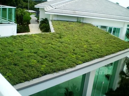 Como os telhados verdes ajudam na redução da temperatura urbana?