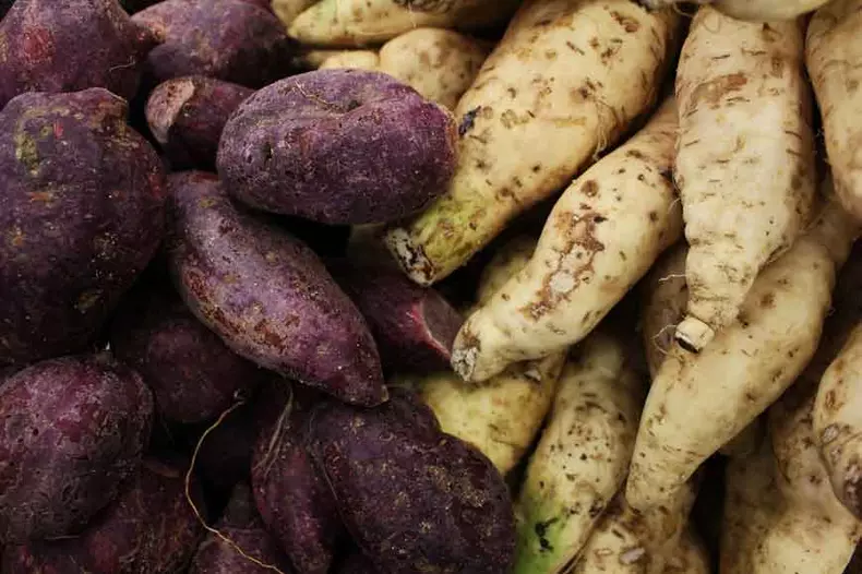 O potencial nutricional da batata-doce roxa