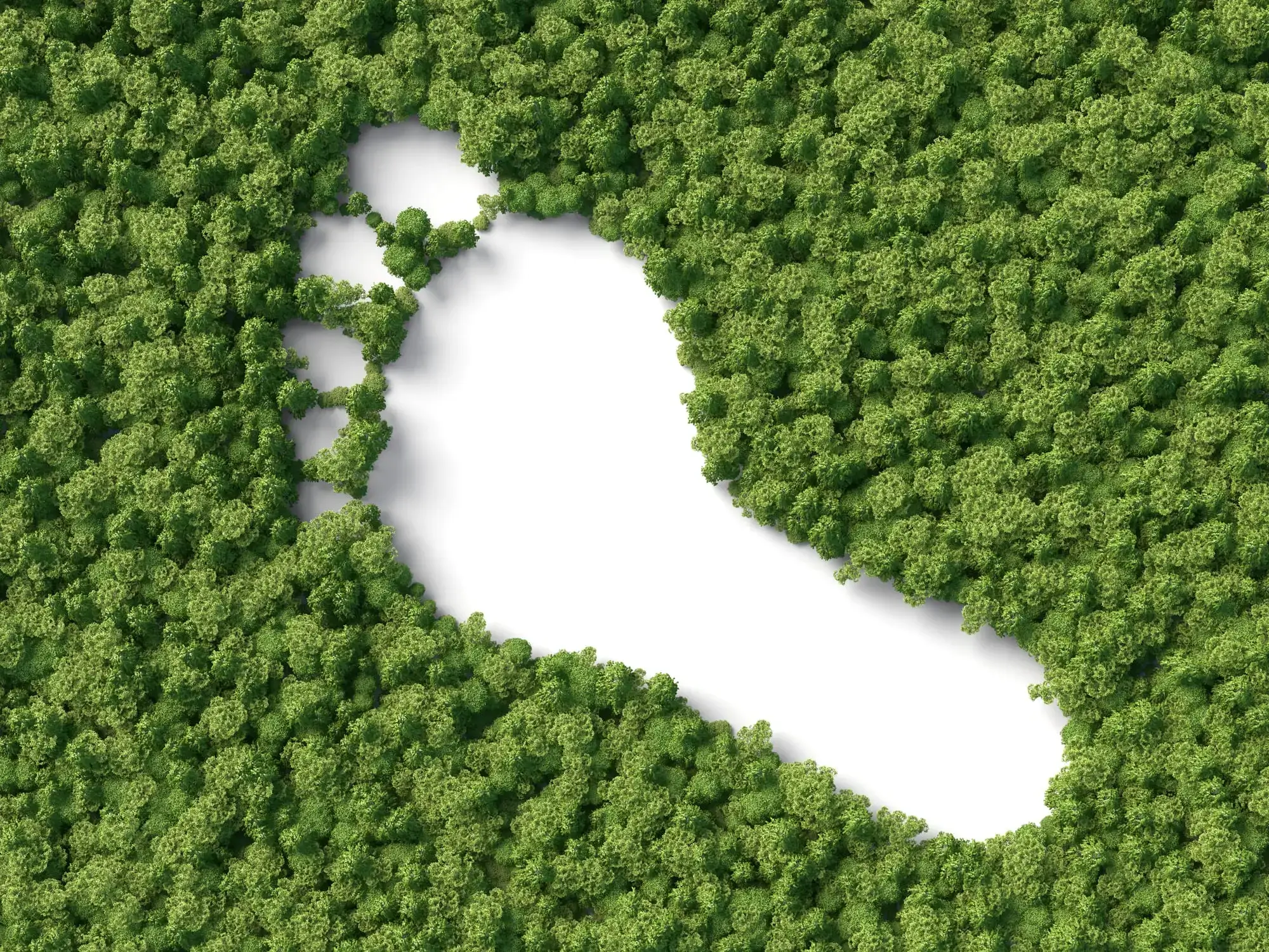 Como pequenas atitudes podem ajudar a reduzir a pegada ecológica?