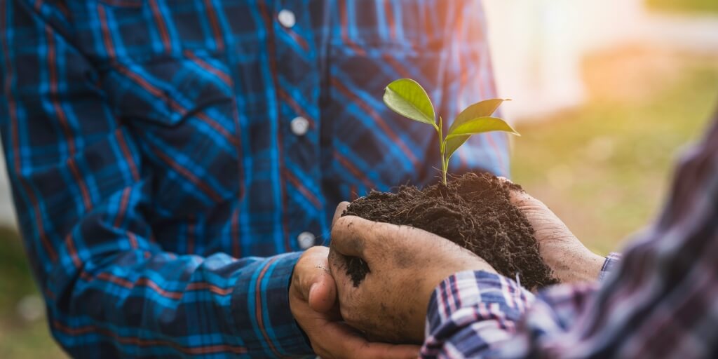 Como as práticas agrícolas regenerativas ajudam a recuperar o solo?