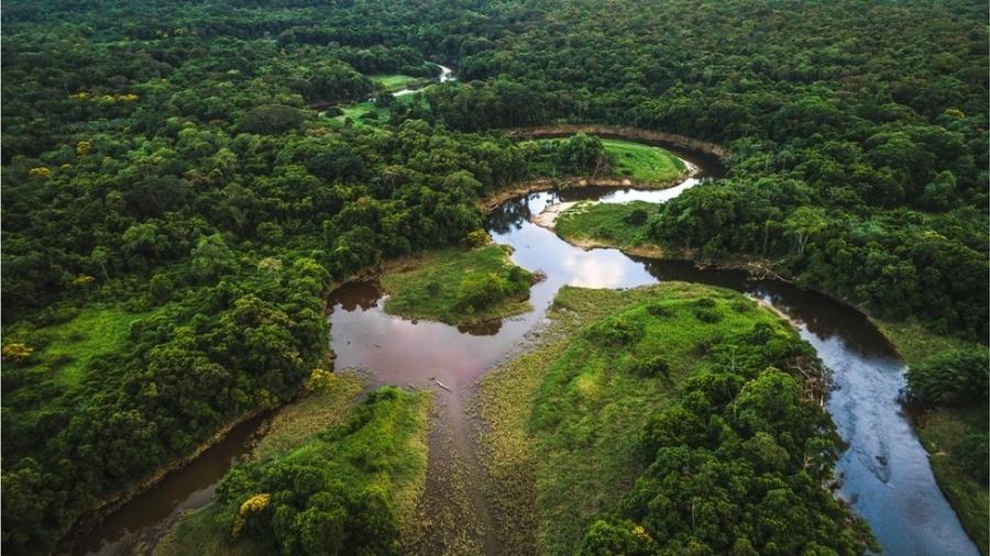 O papel das reservas ambientais na preservação da biodiversidade