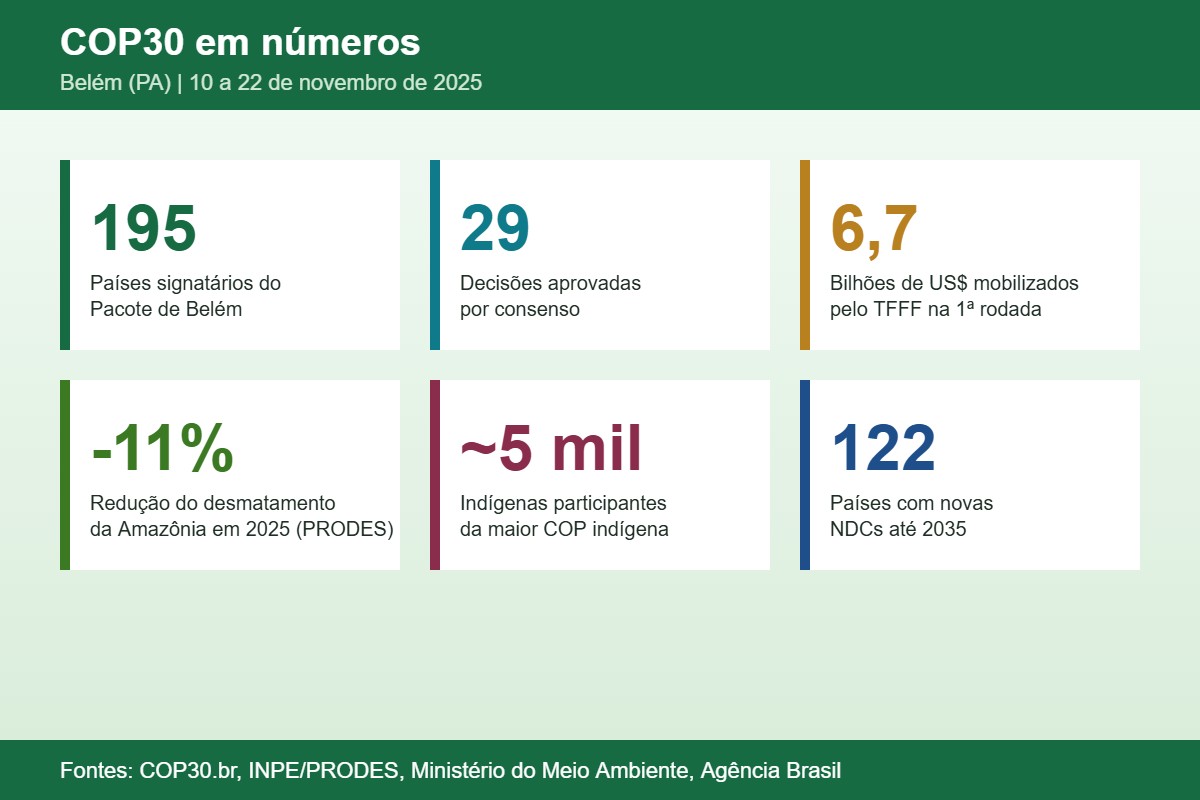 Infográfico COP30 em números: 195 países, 29 decisões, TFFF, desmatamento