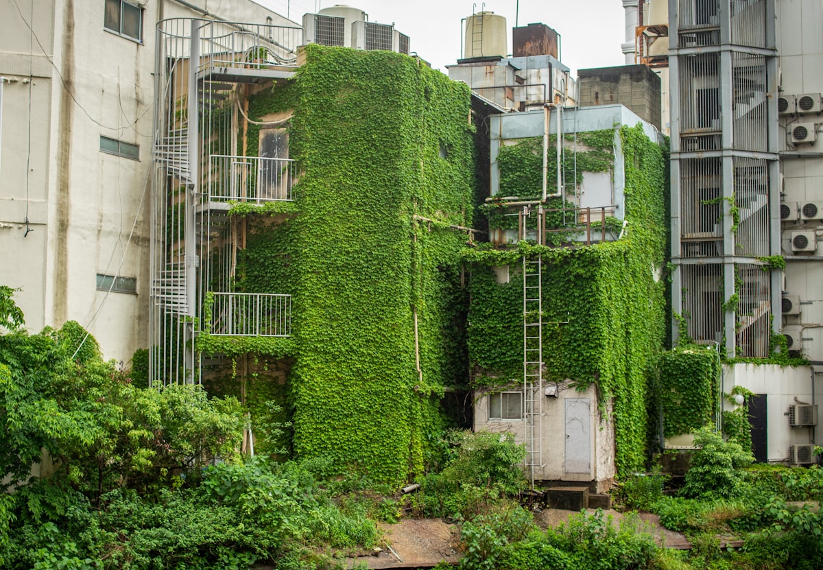 Edifícios urbanos cobertos de vegetação verde exuberante como estratégia de combate ao calor