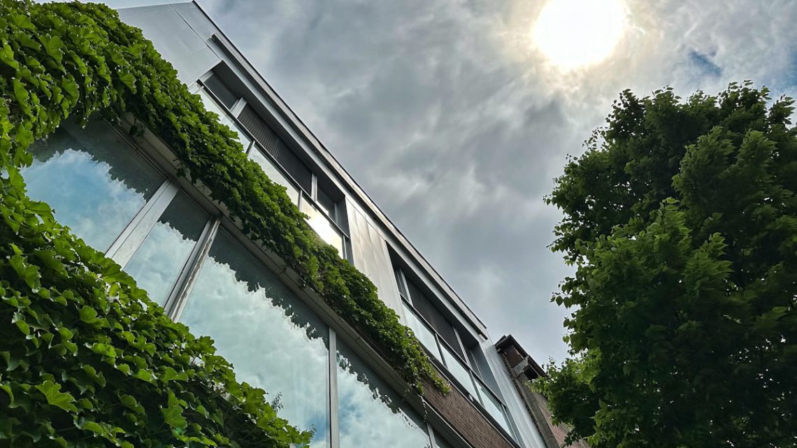 Ilhas de Calor Urbanas: Como as Cidades Podem se Tornar Mais Frescas e Sustentáveis