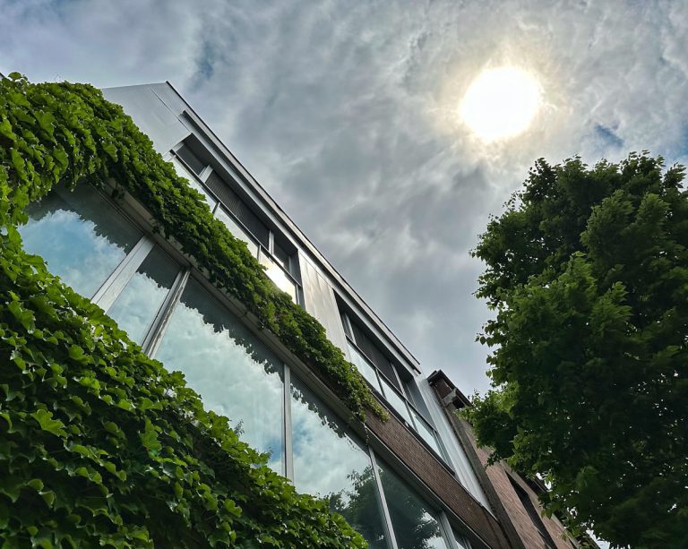 Edifício coberto de plantas verdes, representando soluções para ilhas de calor urbanas