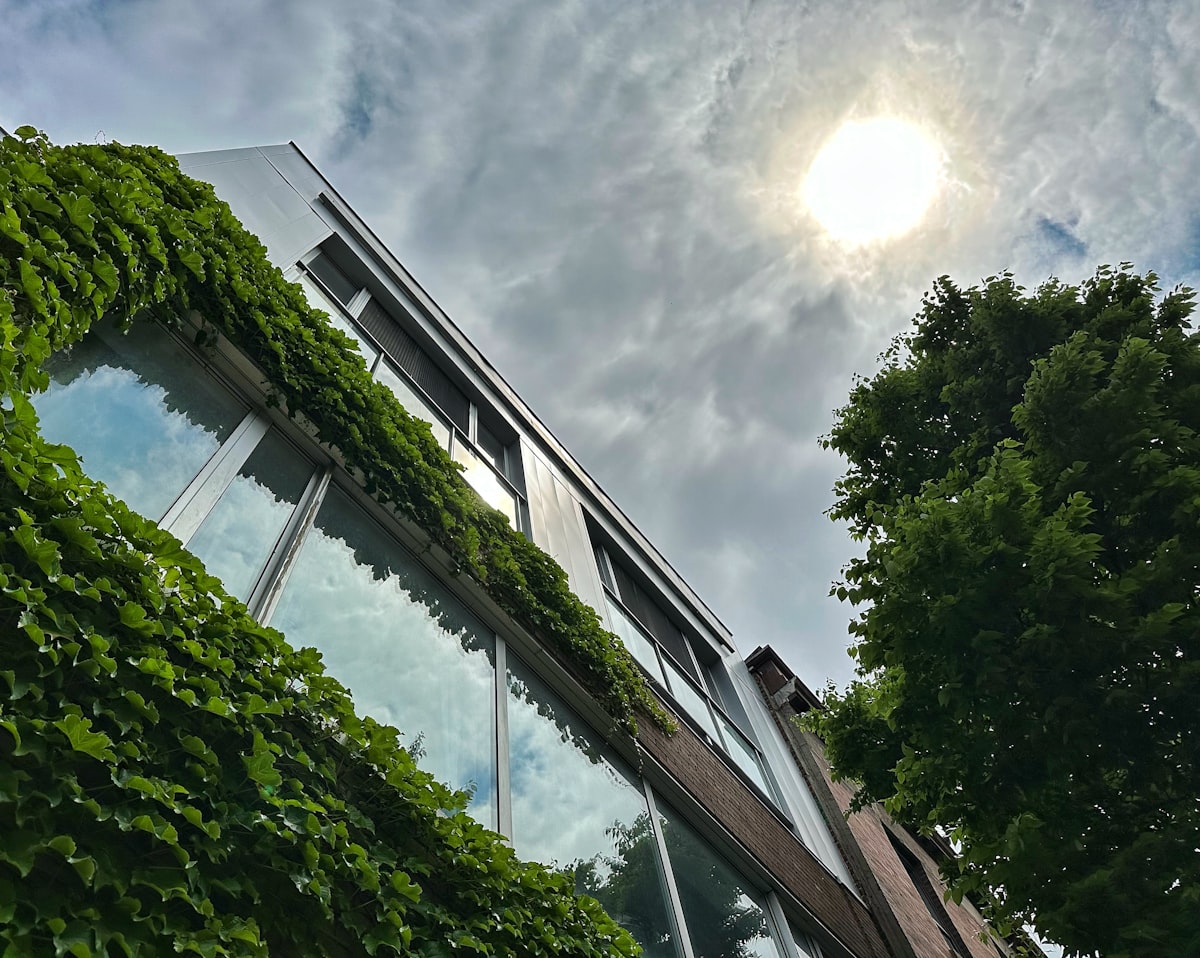 Edifício coberto de plantas verdes, representando soluções para ilhas de calor urbanas