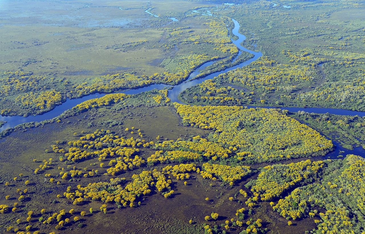 Paisagem do Pantanal com rio e vegetação característica