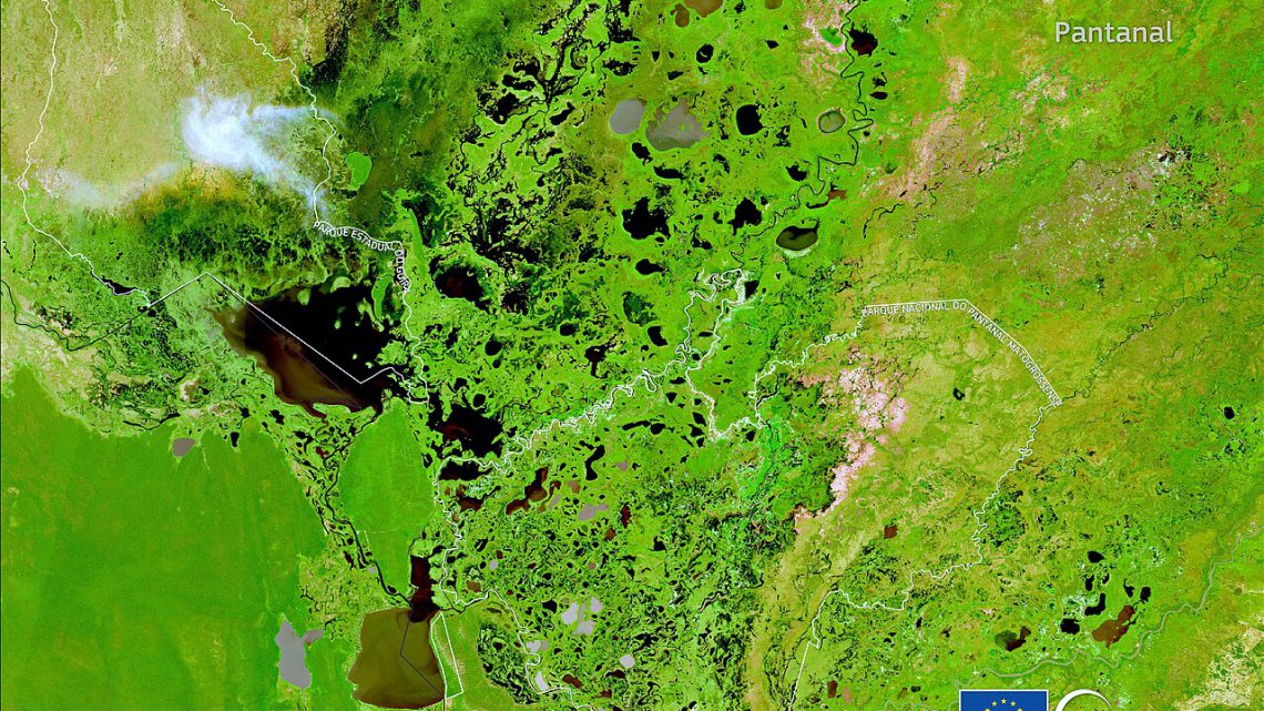 Pantanal: o santuário da vida selvagem brasileira e os desafios dos incêndios