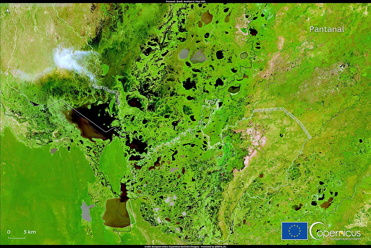 Planície alagada do Pantanal com vegetação e rios, um dos seis biomas brasileiros