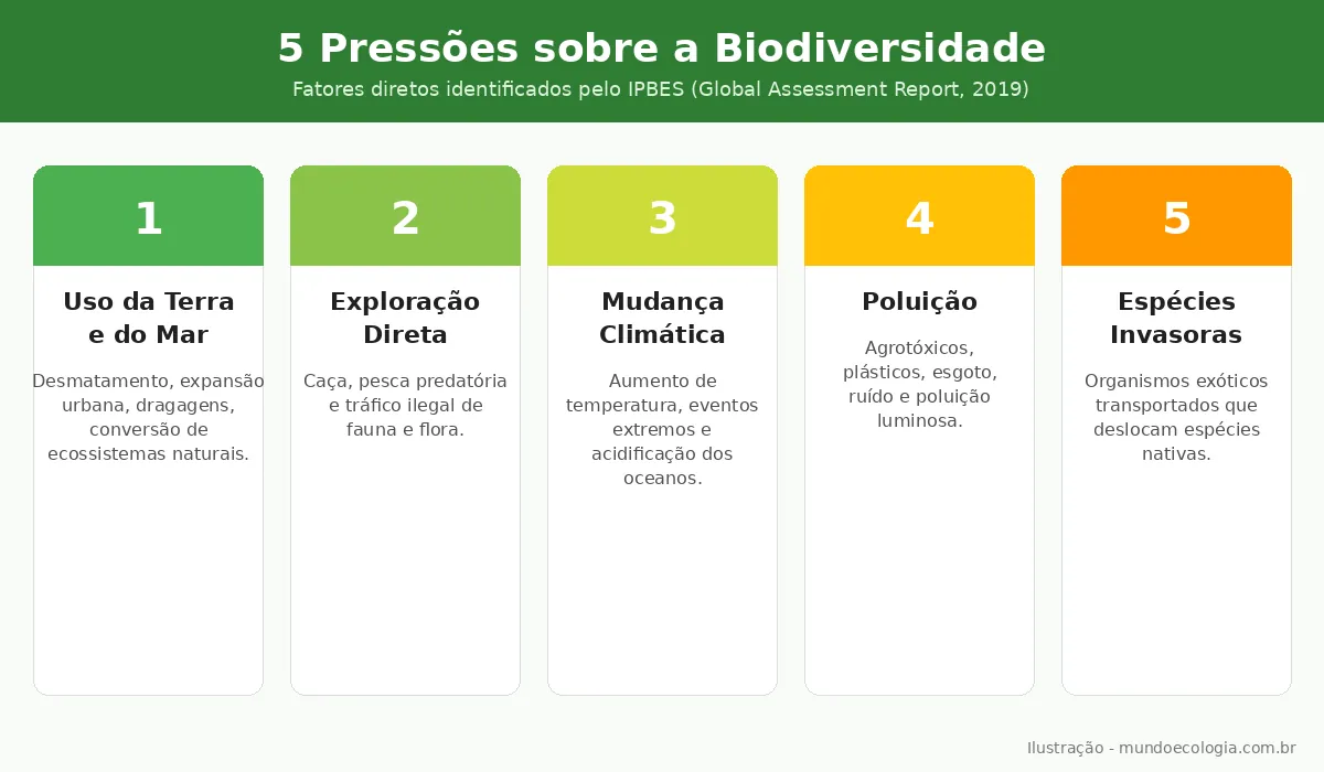 Infográfico com as cinco principais pressões sobre a biodiversidade segundo o IPBES: uso da terra, exploração direta, mudança climática, poluição e espécies invasoras