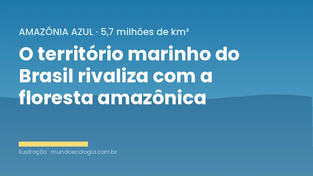 Ilustração mostrando a dimensão da Amazônia Azul, território marinho do Brasil sob jurisdição da Marinha