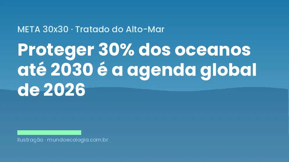 Ilustração da meta global 30x30 e do Tratado do Alto-Mar para áreas marinhas protegidas até 2030