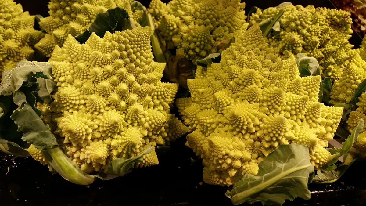 Brócolis romanesco com suas espirais fractais verde-claras