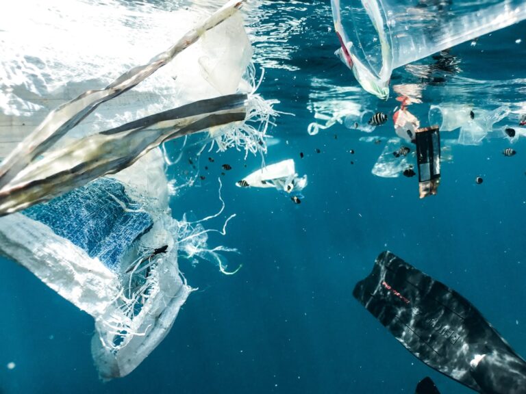Lixo e fragmentos de plástico flutuando no oceano, origem dos microplásticos