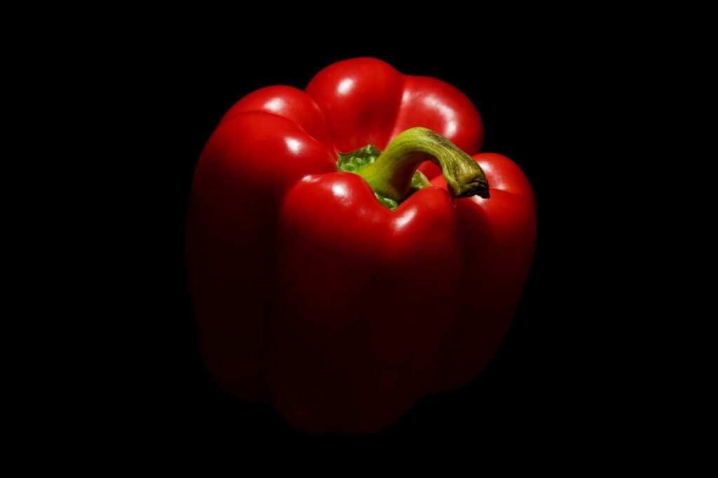 Pimentao vermelho maduro pronto para colheita em vaso