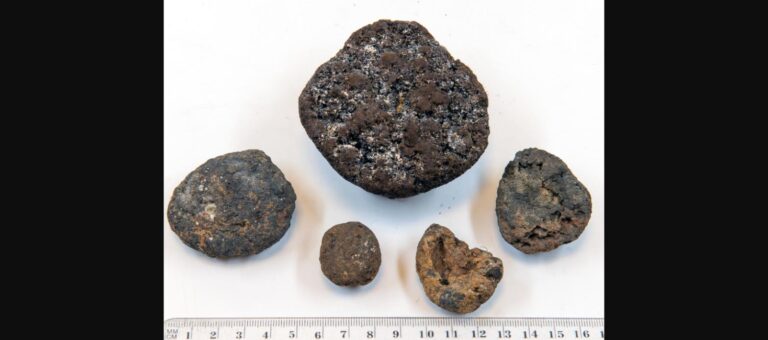 Nódulos polimetálicos do fundo do mar, alvo da mineração em águas profundas